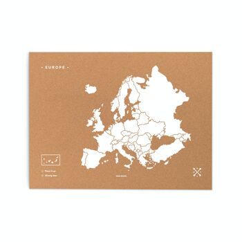 Carte de l'Europe sur le liège 3