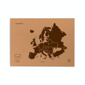 Carte de l'Europe sur le liège 9