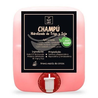 Natürliches Shampoo mit hydrolysiertem Weizen und Soja Natury 20 L