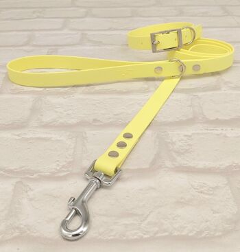 Ensemble Collier et Laisse pour Chien BioThane© Imperméable - Sorbet Citron & Argent 1