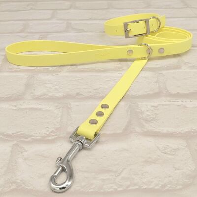 Waterproof BioThane© Dog Collar & Dog Lead Set - Sherbet Lemon & Silver