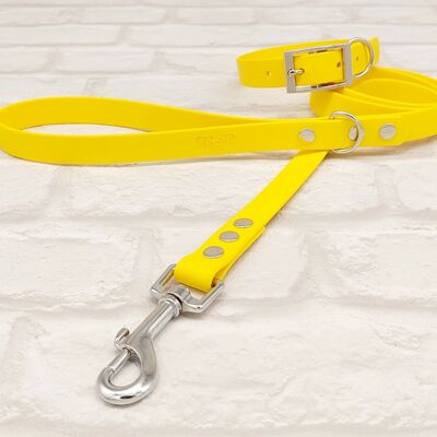 Ensemble Collier et Laisse pour Chien BioThane© Imperméable - Jaune & Argent