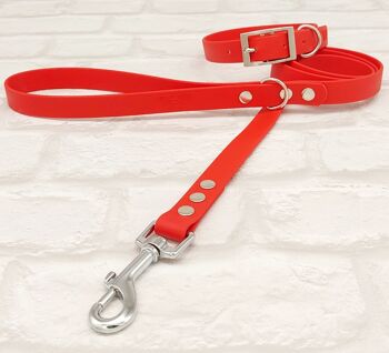 Ensemble Collier et Laisse pour Chien BioThane© Imperméable - Rouge & Argent 1