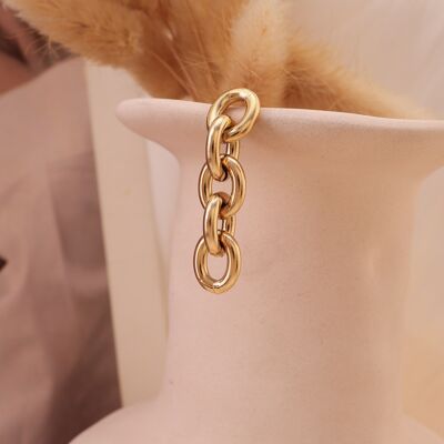 Golden earrings, chain link