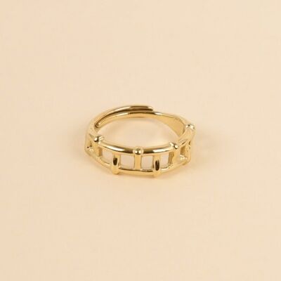 Leiter goldener Ring