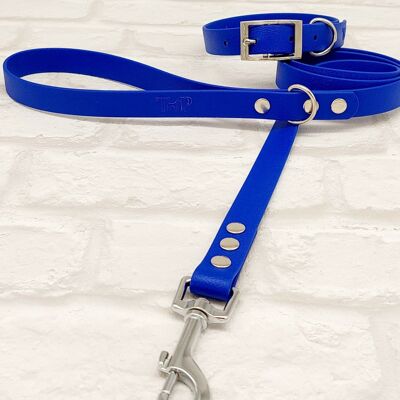 Juego de collar y correa para perro impermeable BioThane© - Azul real y plata