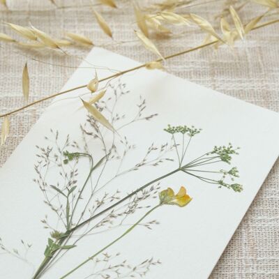 Herbier fleuri : Jardin champêtre • format A6 • à encadrer - décoration florale