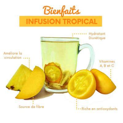 Infusiones de Frutas Tropicales Deshidratadas 5 sobres Caja de 60gr