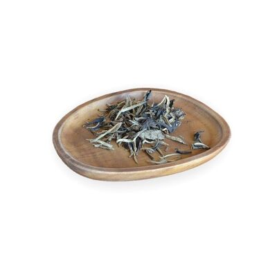 Oval Walnut Tea Tray - 16 x 13 cm