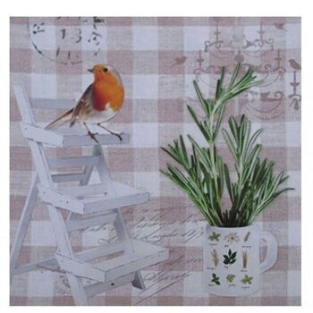 Ensemble de 2 tableaux sur toile d'ambiance vintage avec des oiseaux 40x2x40cm 2