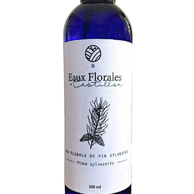 Organic Scots Pine floral water - 200ml