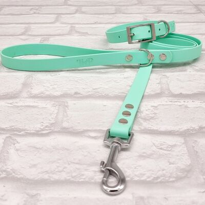 Waterproof BioThane© Dog Collar & Dog Lead Set - Seafoam & Silver