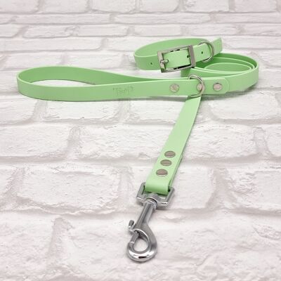 Waterproof BioThane© Dog Collar & Dog Lead Set - Pistachio & Silver