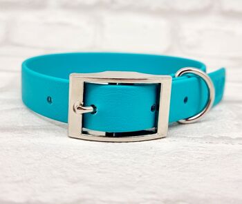 Ensemble Collier et Laisse pour Chien BioThane© Imperméable - Sarcelle & Argent 2