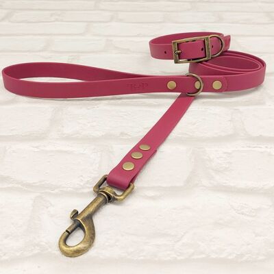 Waterproof BioThane© Dog Collar & Dog Lead Set - Burgundy & Antique Brass