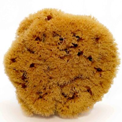 SICILIANA.LT Natural Mediterranean Sea Sponge ZIMOCA (half-processed) 10 cm