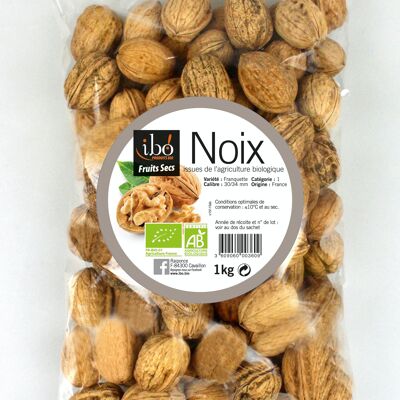Fillet of walnuts in shells - Franquette variety