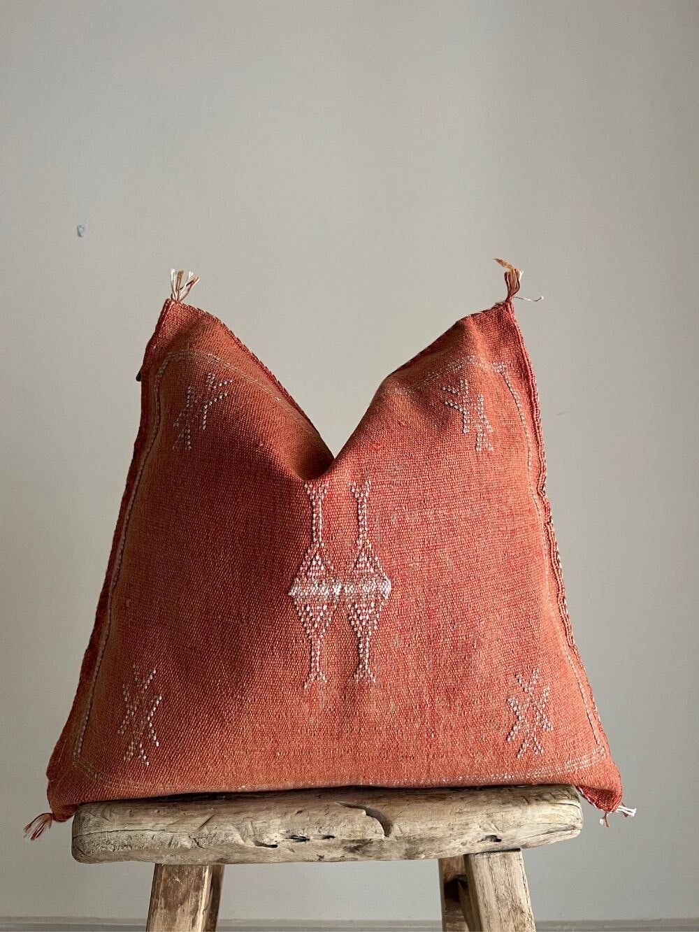 Fodera per cuscino in seta di cactus #314