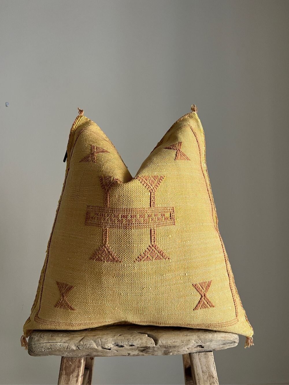 Fodera per cuscino in seta di cactus #342