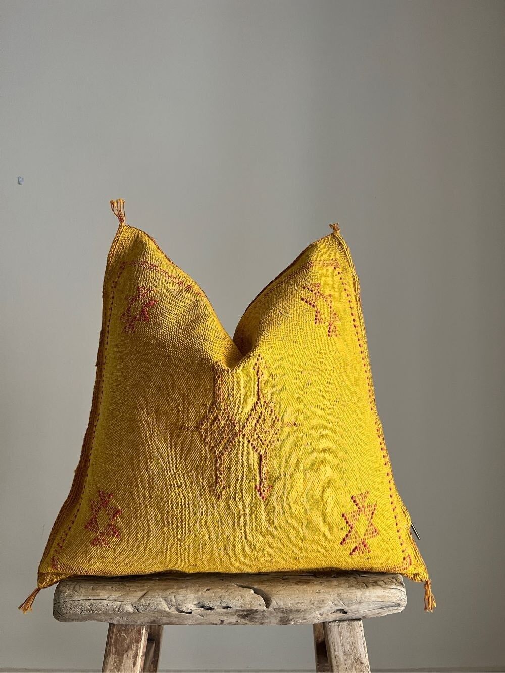 Fodera per cuscino in seta di cactus #348