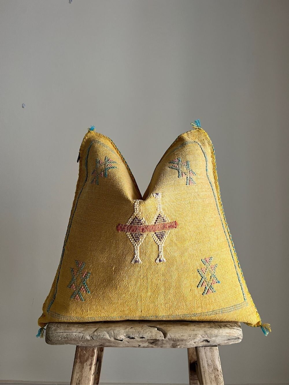 Fodera per cuscino in seta di cactus #352