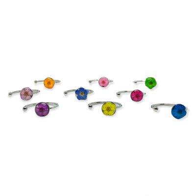 Multicolor rings forget me not