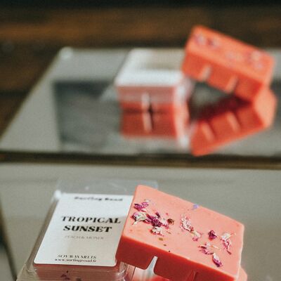Cera perfumada para derretir - Diferentes aromas