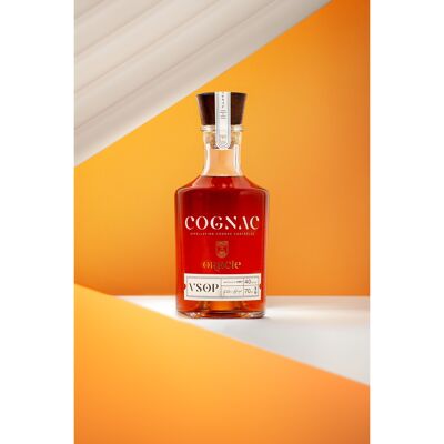 COGNAC VSOP 40% VOL. CON CUSTODIA