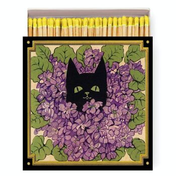 MBU21 ALLUMETTES VIOLETS CAT