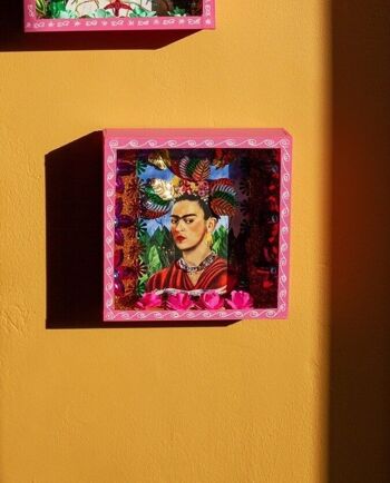 Vitrine Frida Kahlo - Autoretrato Docteur Eloesser 1