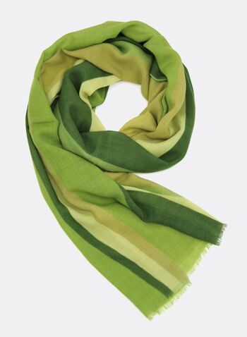 Echarpe en laine / Color Lines - nuances de vert 1