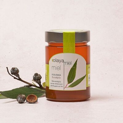 Olaya Bio eucalyptus honey