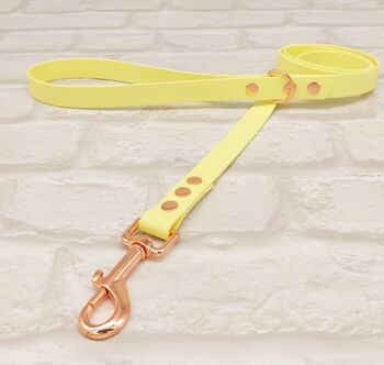 Ensemble Collier et Laisse pour Chien BioThane© Imperméable - Sorbet Citron & Or Rose 3