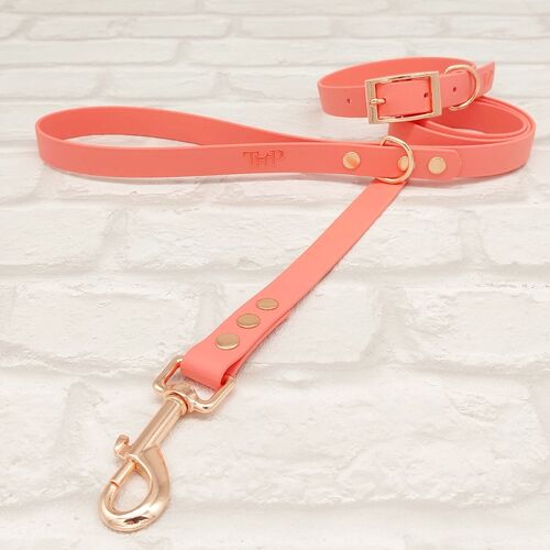 Waterproof BioThane© Dog Collar & Dog Lead Set - Coral & Rosegold