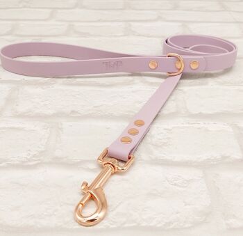 Ensemble Collier et Laisse pour Chien BioThane© Imperméable - Lilas & Or Rose 3