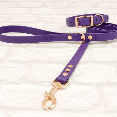 Wasserdichtes BioThane© Hundehalsband & Hundeleine Set - Acid Purple & Rosegold