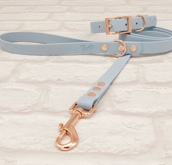 Ensemble Collier et Laisse pour Chien BioThane© Imperméable - Bleu Pastel & Or Rose 1