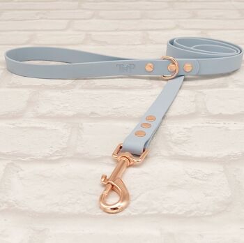 Ensemble Collier et Laisse pour Chien BioThane© Imperméable - Bleu Pastel & Or Rose 3