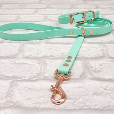 Waterproof BioThane© Dog Collar & Dog Lead Set - Seafoam & Rosegold