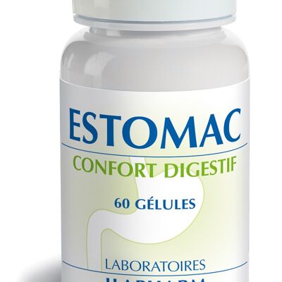 Estomac - Brûlures et aigreurs d'estomac - 60 gélules