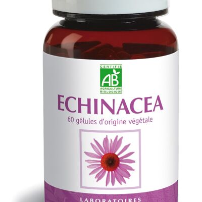 Organic Echinacea - Natural defenses - 60 capsules