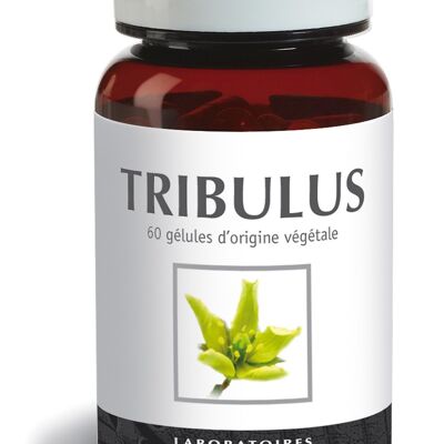 Tribulus Terrestris - Tono y capacidad sexual - 60 cápsulas