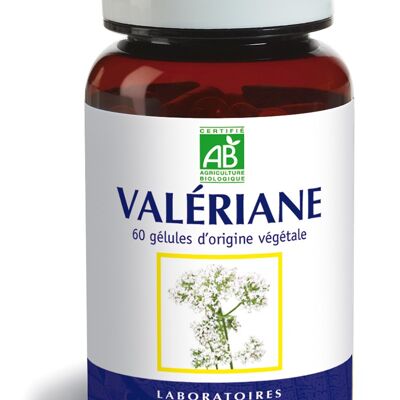 Valeriana BIO - Somnolencia - 60 cápsulas