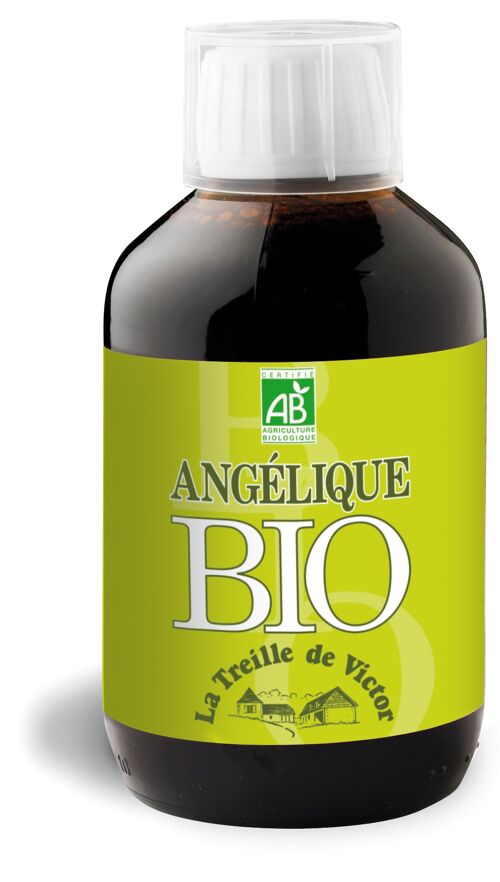 Jus d'Angélique BIO - Acidité gastrique - Bouteille de 250 ml
