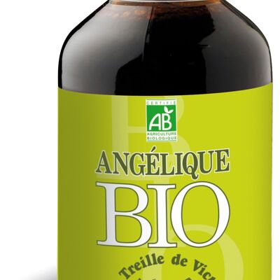 Zumo de Angélica Ecológico - Acidez gástrica - Botella 250 ml