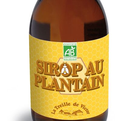 Sirop Plantain BIO - Gorge - Bouteille de 250 ml