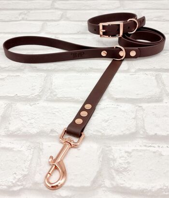 Ensemble Collier et Laisse pour Chien BioThane© Imperméable - Marron Foncé & Or Rose 1