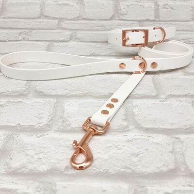 Ensemble Collier et Laisse pour Chien BioThane© Étanche - Blanc & Or Rose