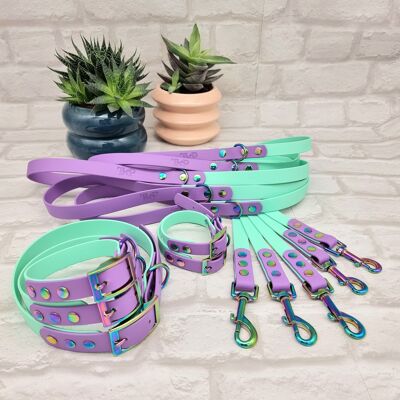 Waterproof BioThane© two-coloured 10 pcs Dog Collar & Lead Bundle - Seafoam & Amethyst