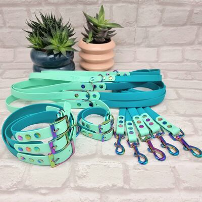 Confezione da 10 collari e guinzaglio per cani bicolore BioThane© impermeabile - Teal & Seafoam